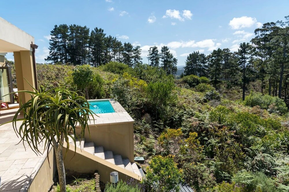 Фото 5 Forecastle