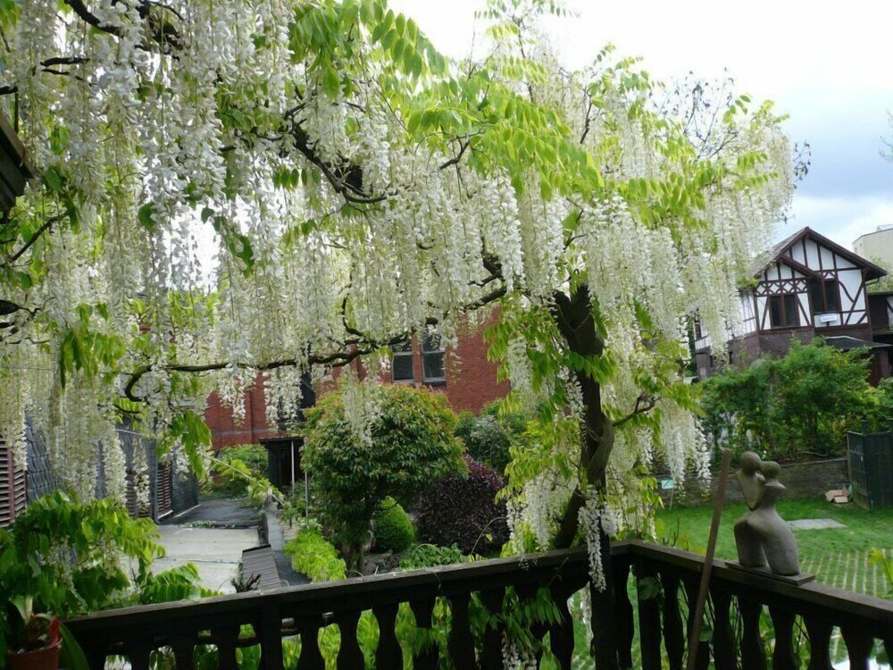 Фото Hotel Rosenhaus Garni