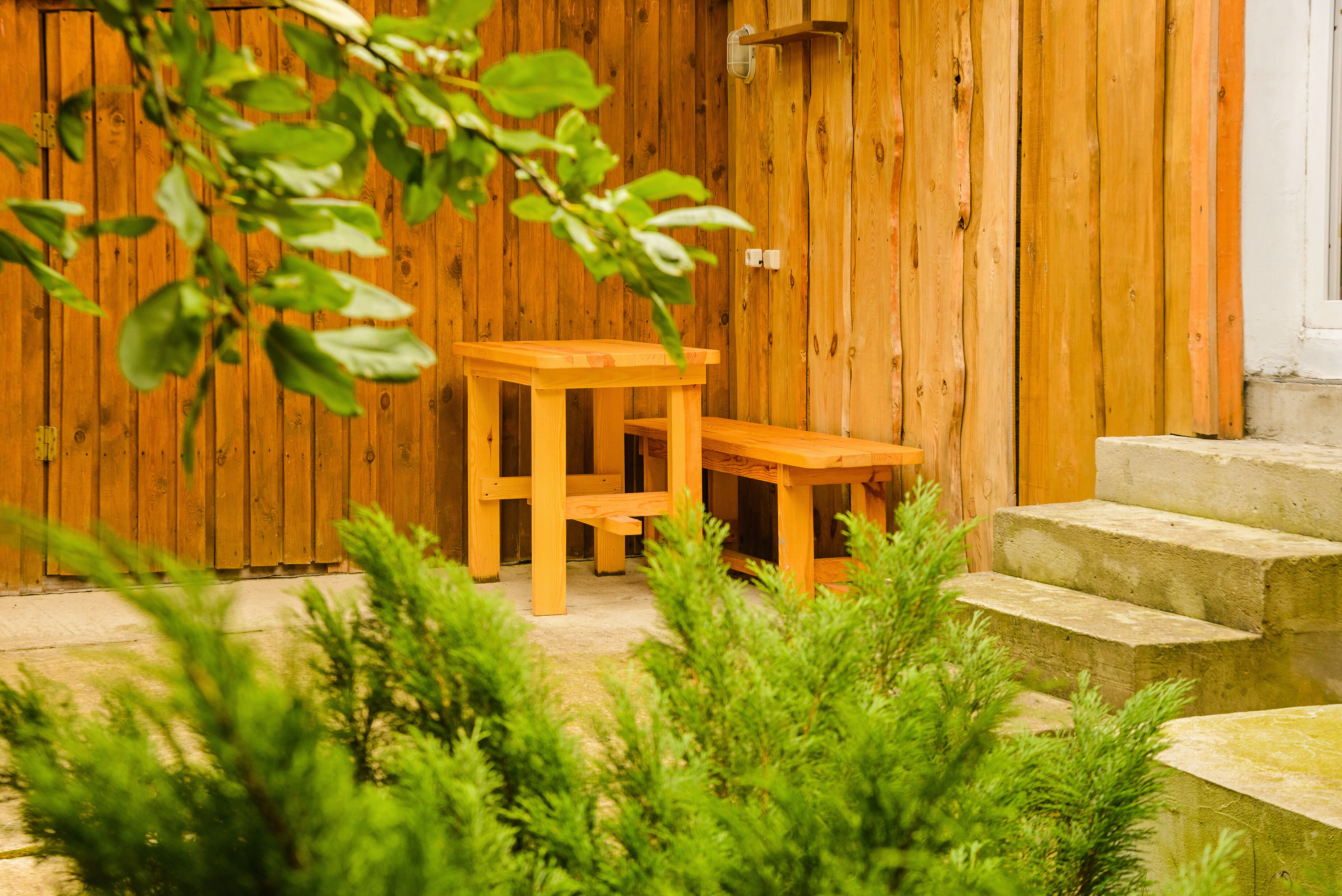 Фото Беловежское поместье