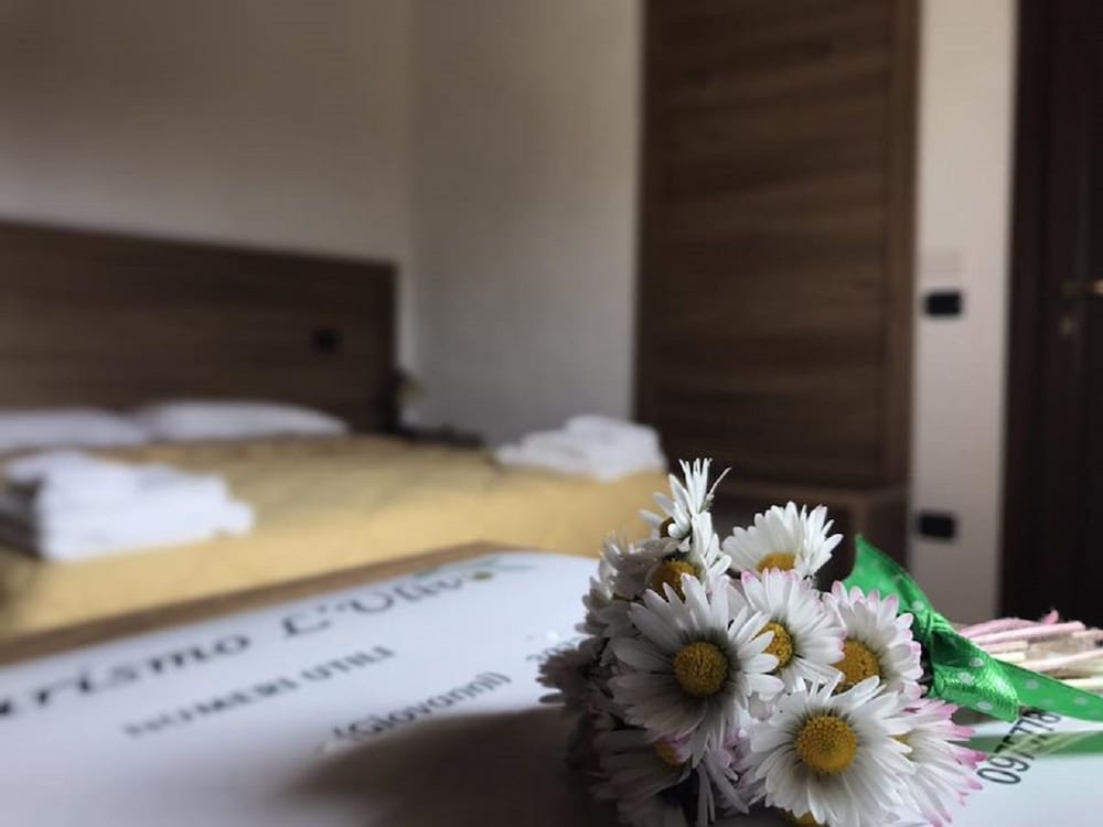 Фото Agriturismo L'Ulivo