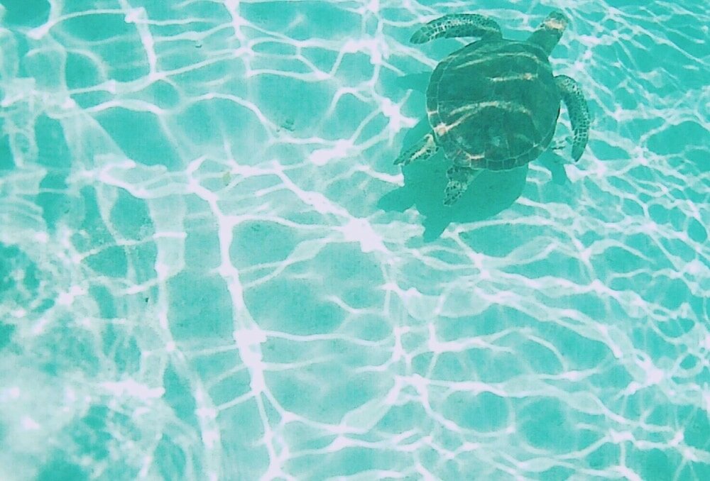 Фото Thalassa Beach and Pool Villa