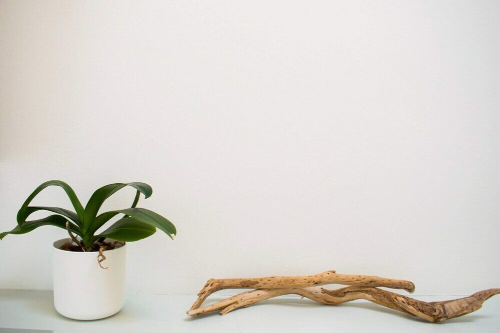 Фото Stylish Four Bedroom Stockbridge Home