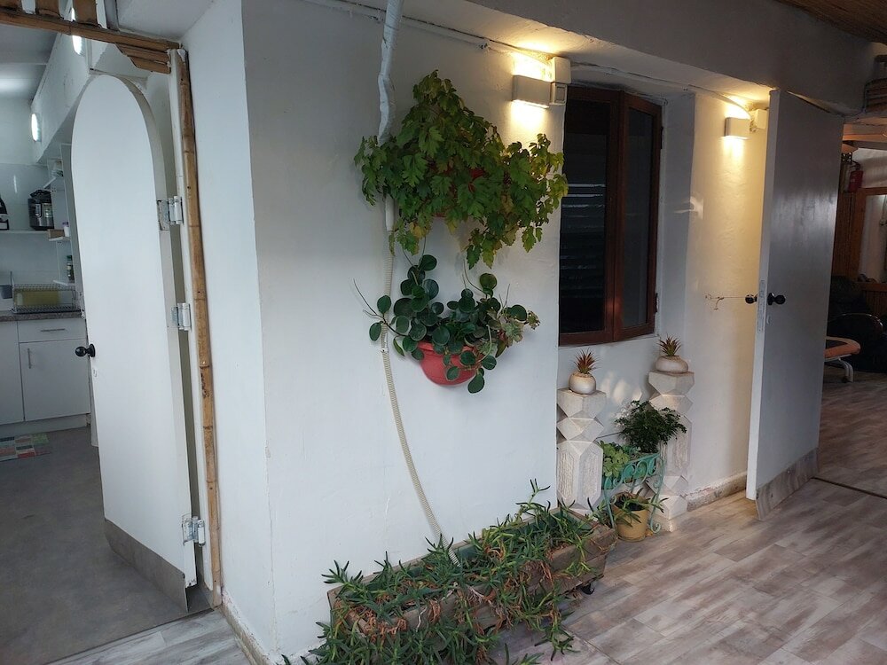 Фото Green Leaves Tlv