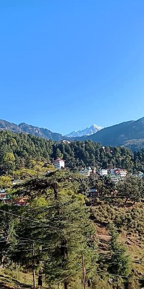 Фото Hotel Pine Spring