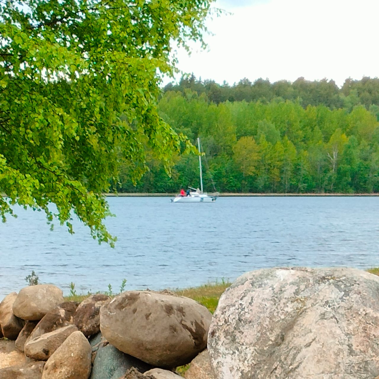 Фото Лахта&Ярви