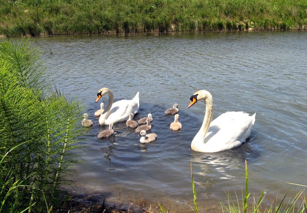 Фото Apartment in Isla, Cantabria 102781 by Mo Rentals