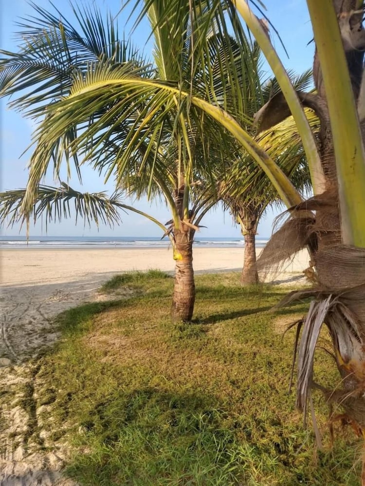 Фото Oásis Pousada