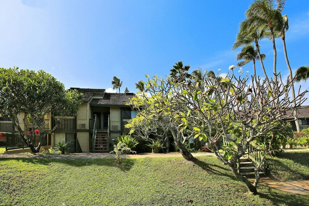 Фото Turtle Bay Bird Of Paradise ta-052128819201 2 Bedroom Condo by RedAwning