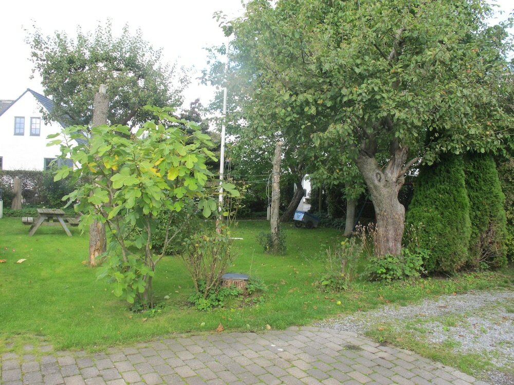 Фото Guesthouse Sharon Suite