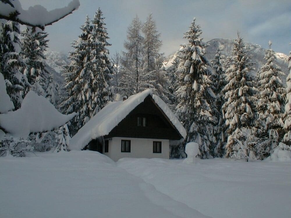 Фото Apartments Lake Bohinj