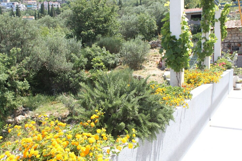 Фото Blue Mediterranean