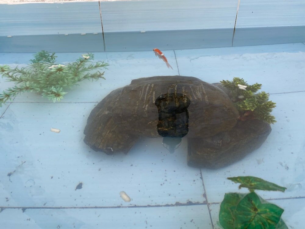 Фото Hostel Casa d'Alagoa