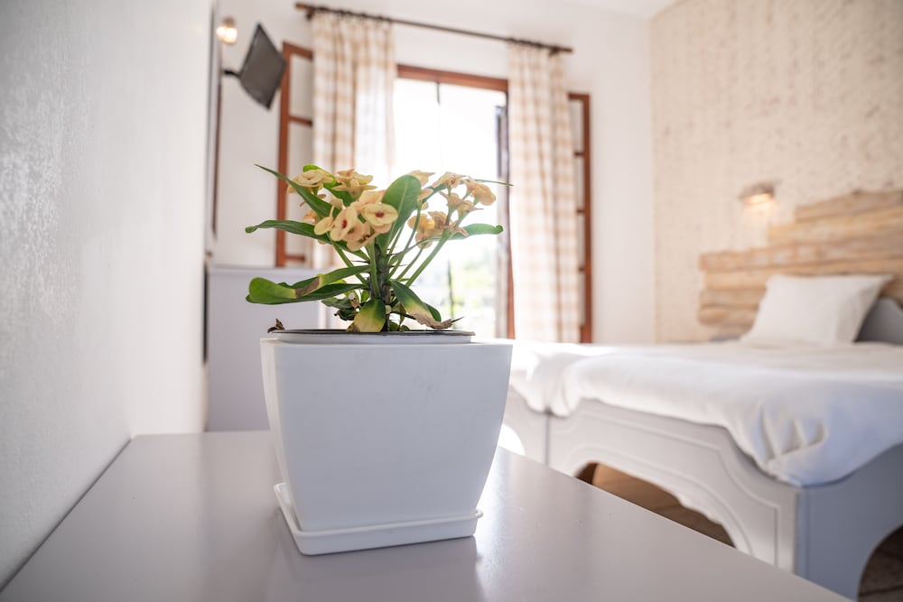 Фото Villa Del Sol Corfu