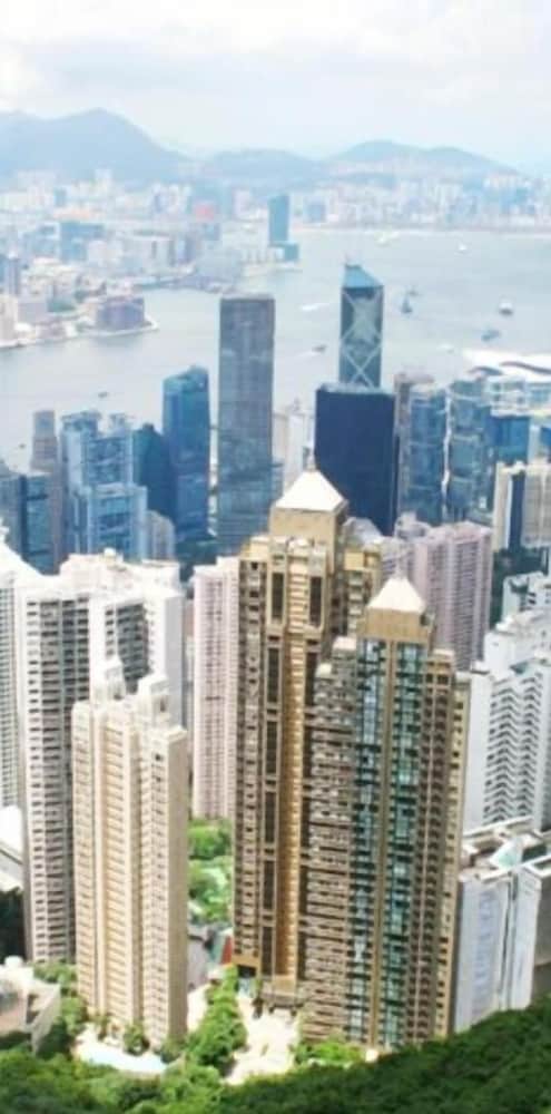 Фото Traveller's Hostel