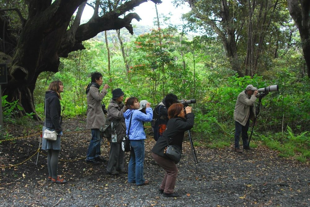 Фото Snapper inn