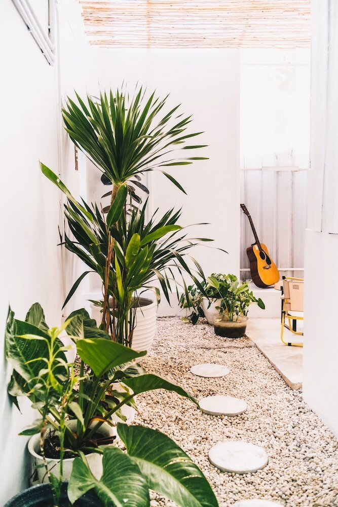 Фото The Park Society - Hostel