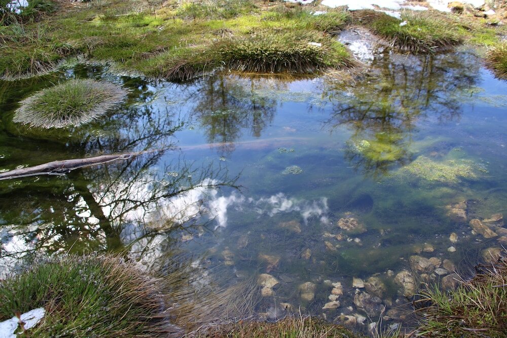 Фото Hotel Alpenrose