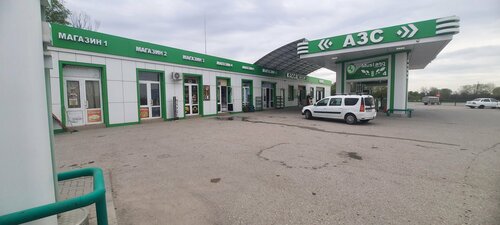Gas station Mustang, Chechen Republic, photo