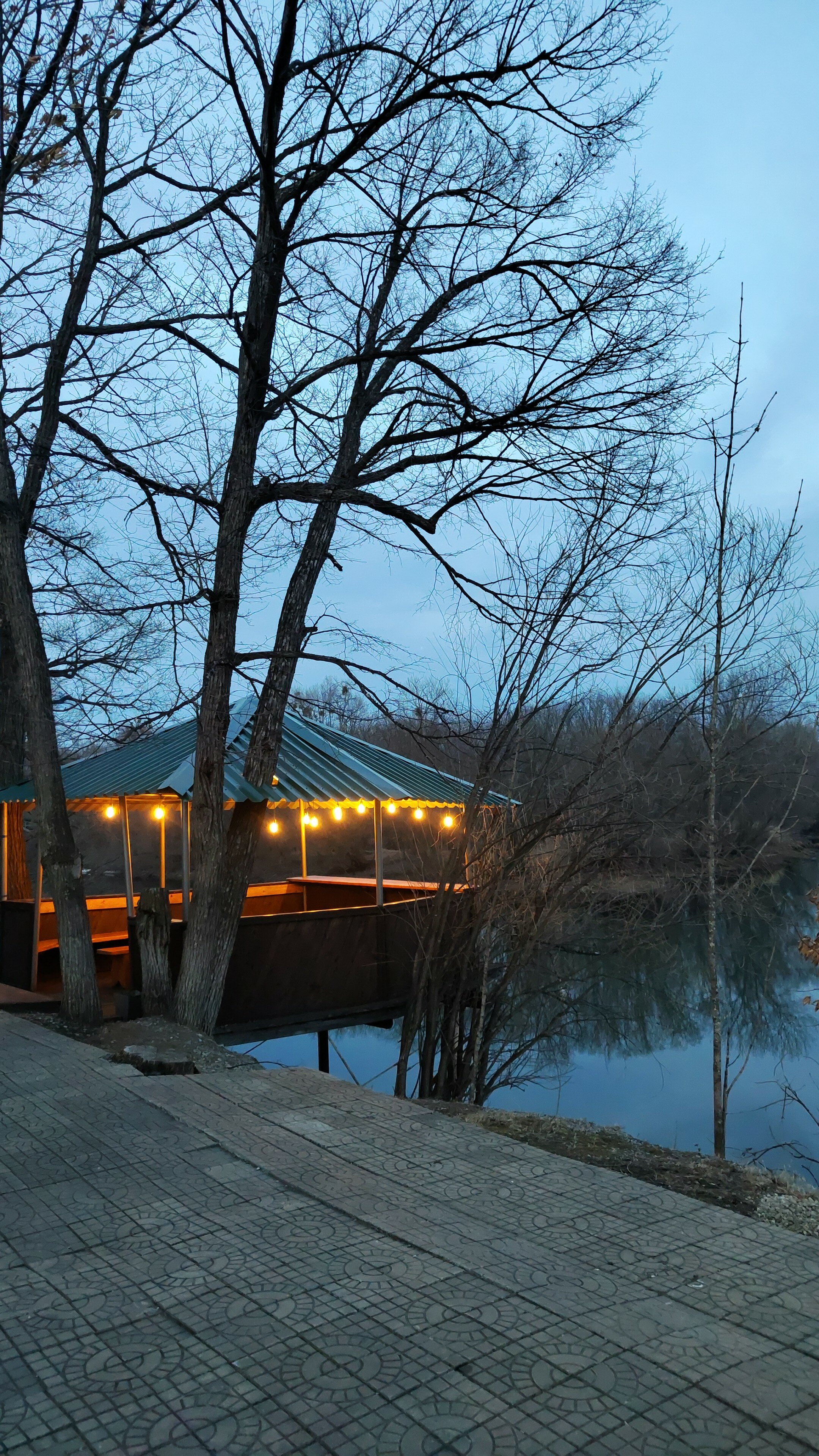 Фото Таежный берег