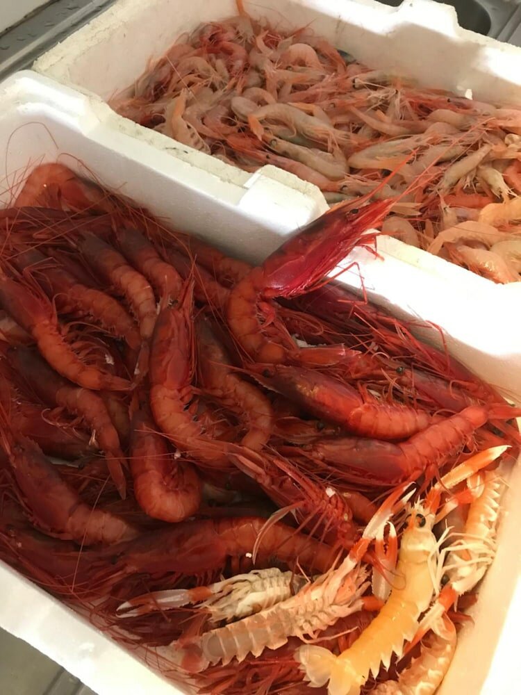 Фото Hotel Antonietta