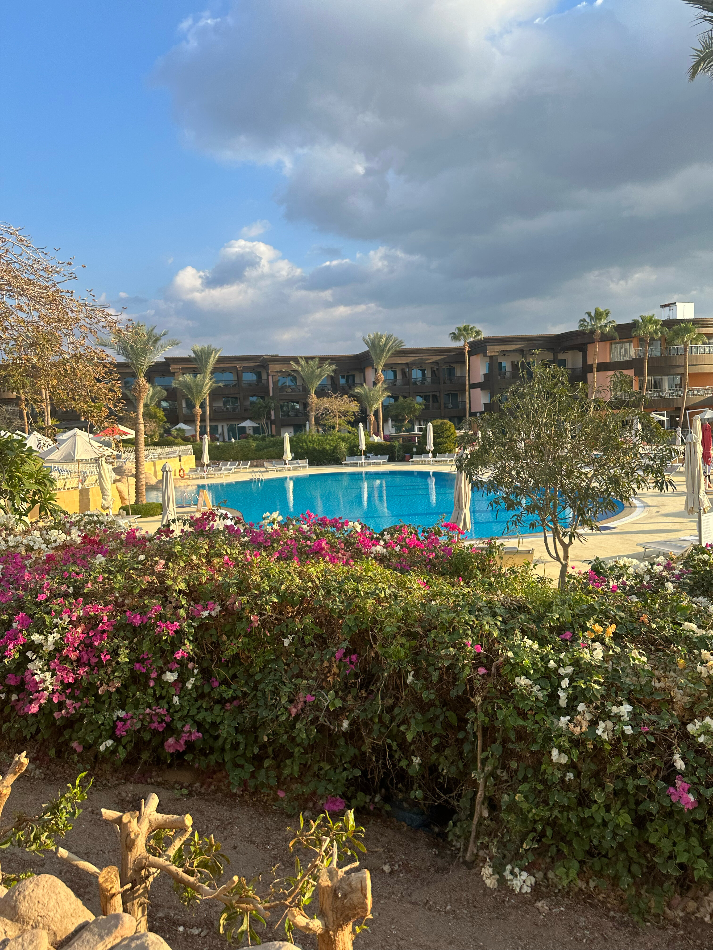 Фото Royal Savoy Sharm El Sheikh