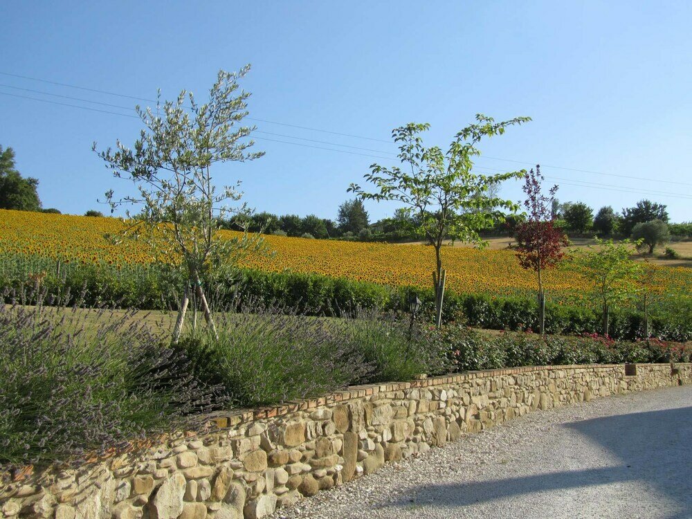 Фото Agriturismo La Vecchia Fonte