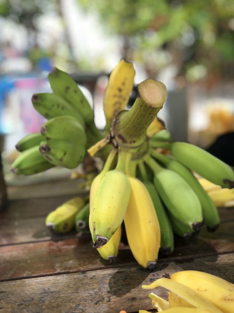 Фото Ocean Vibes Guesthouse