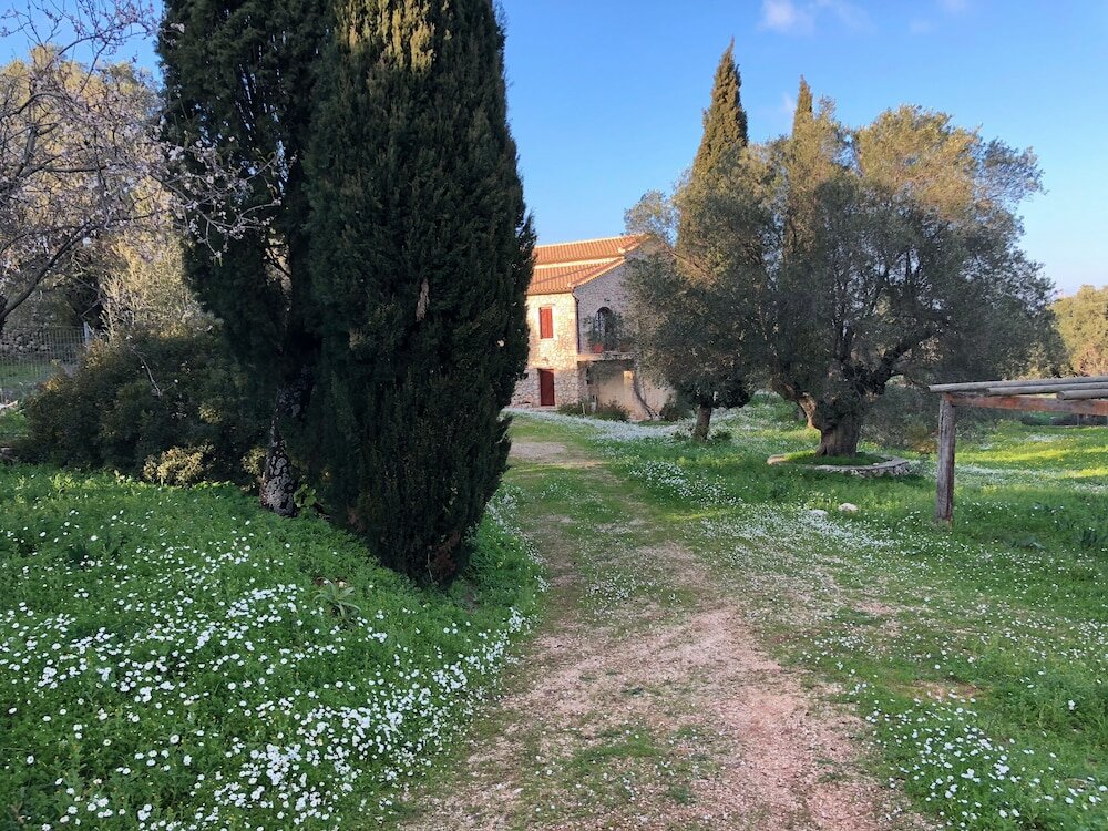 Фото Villa Melite