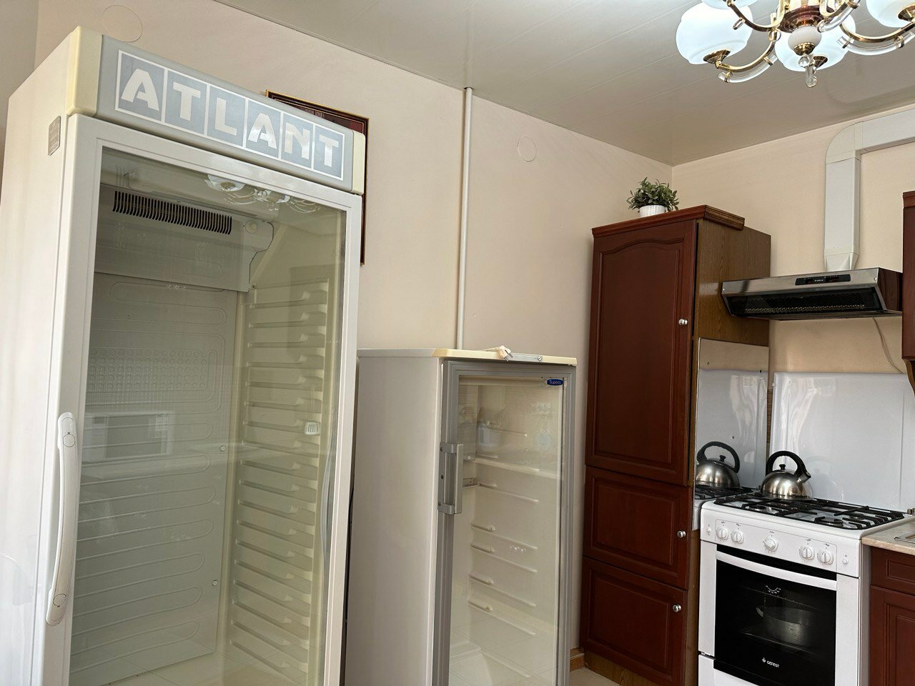 Фото Магнолия