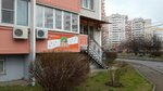 Лисенок (ulitsa Geroya A.A. Averkiyeva, 2) ، مركز تنمية الأطفال