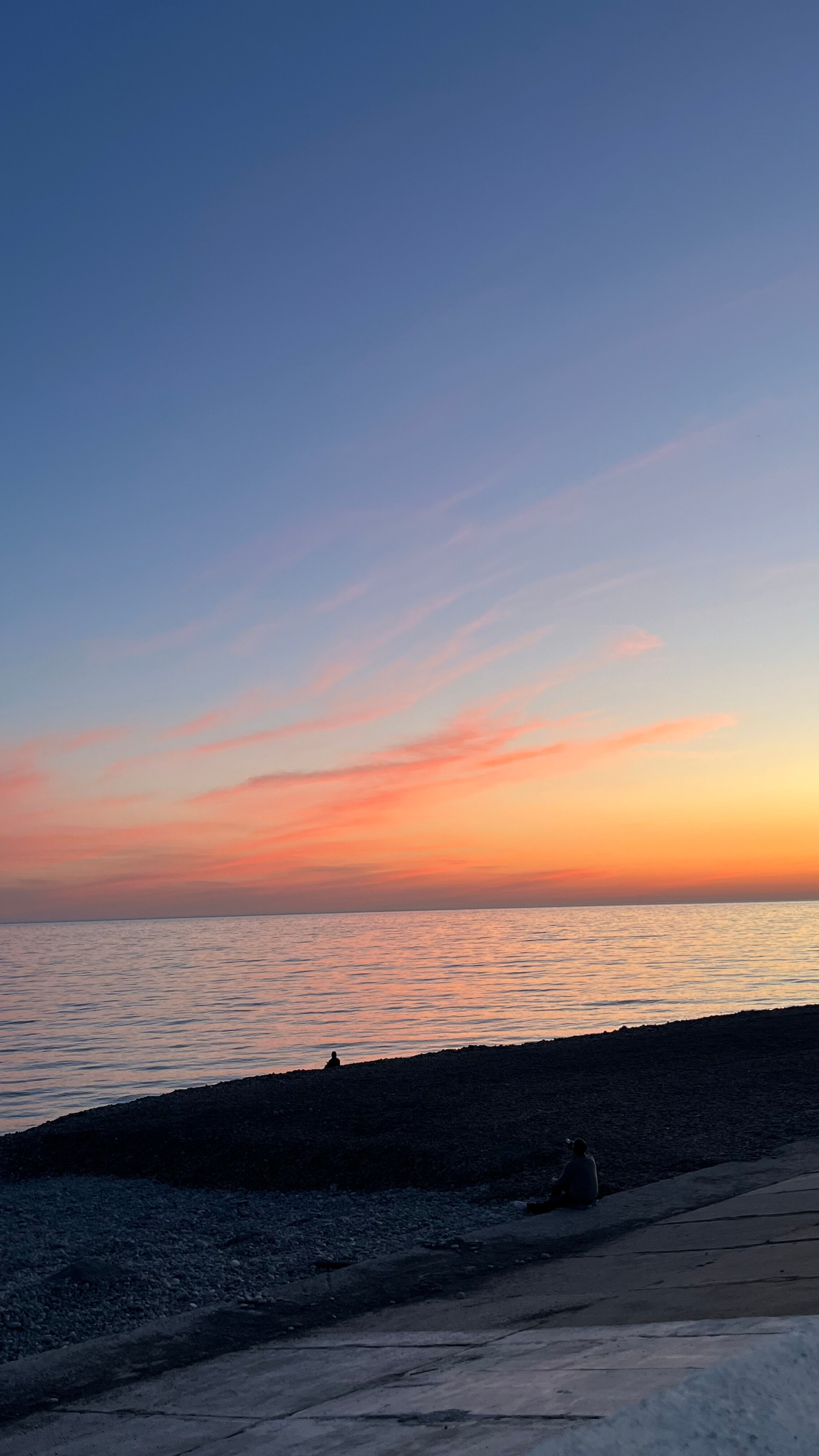 Фото Лаванда