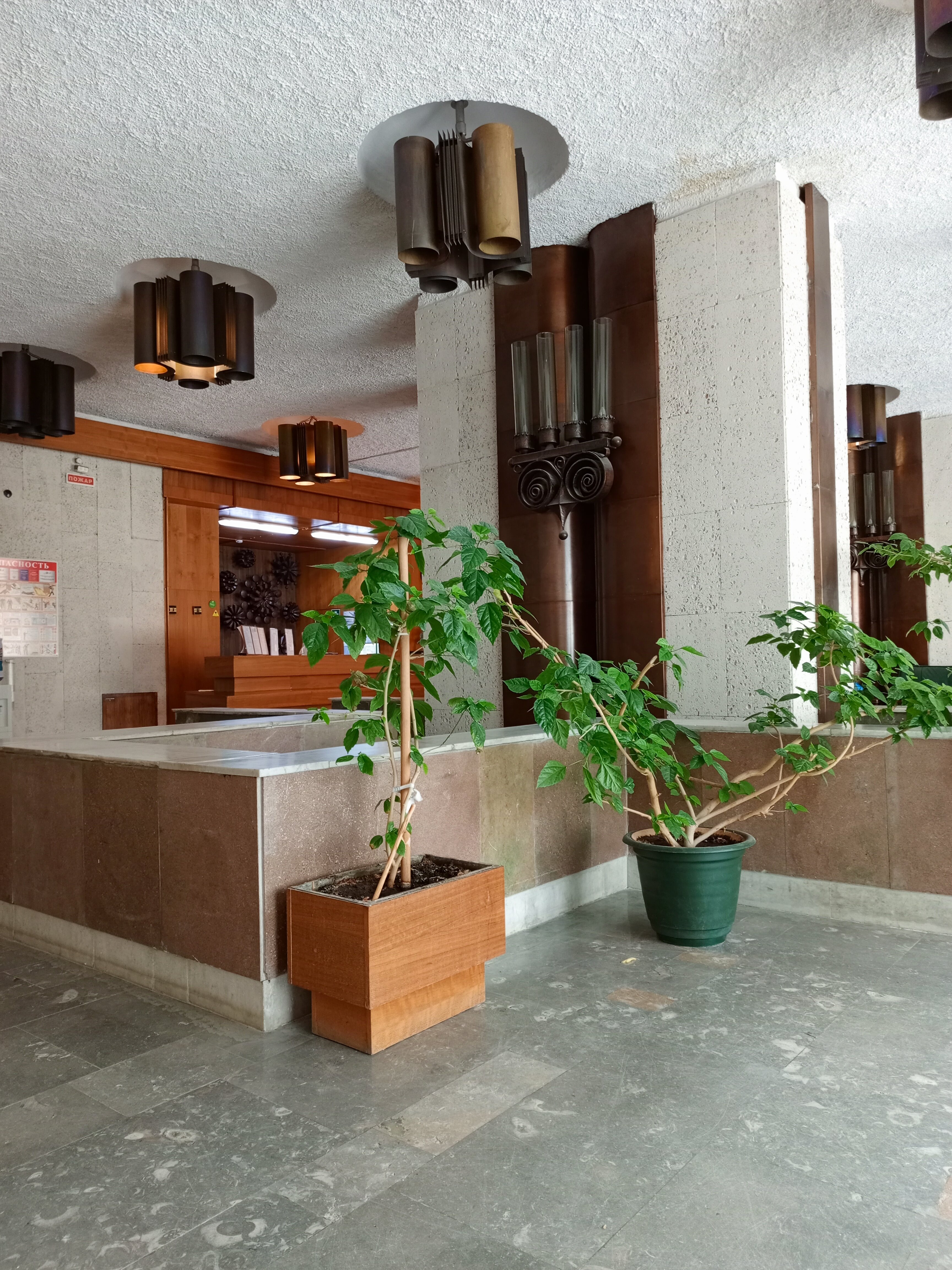 Фото Протва