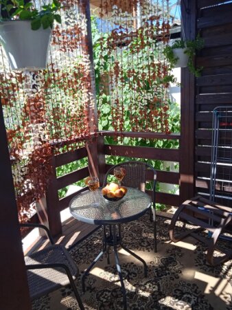 Фото Совёнок