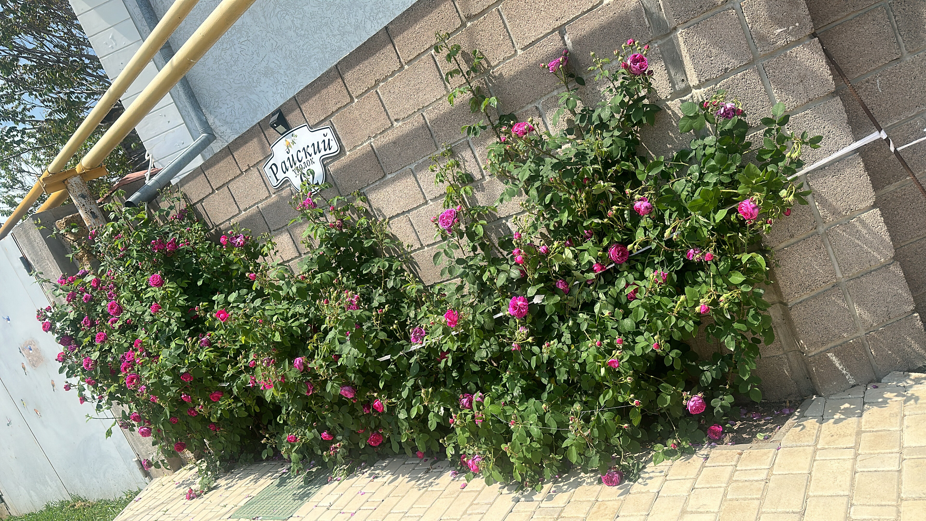 Фото Райский уголок