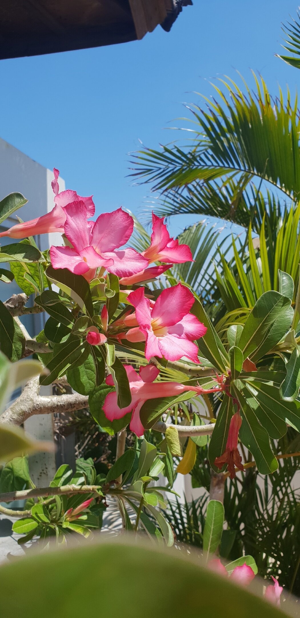 Фото Kuta Beach Hotel