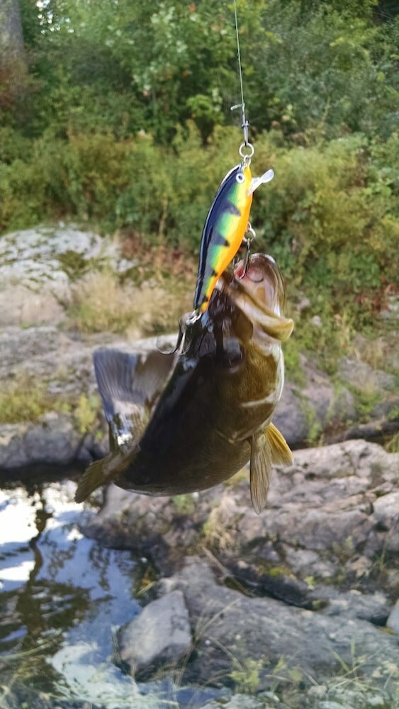 Фото Milford Motel On The River