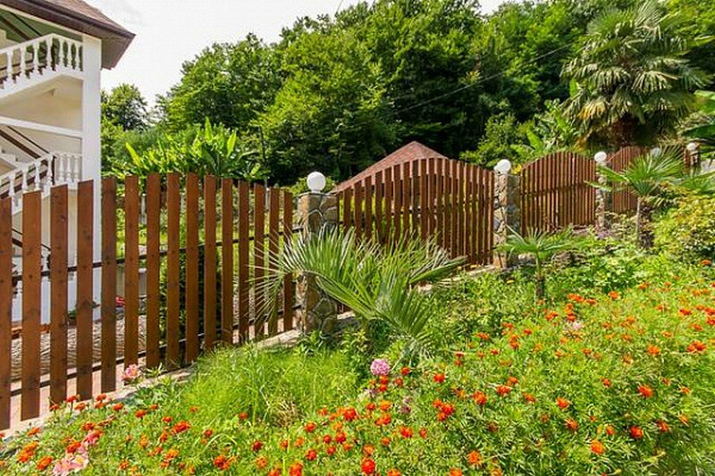 Фото Олимпик