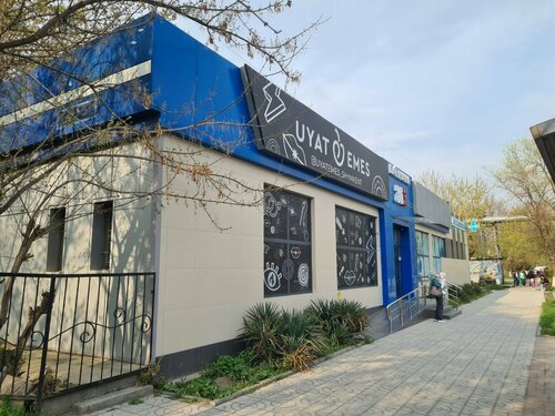 Орыс студенті есекке сиып кетеді