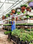AgroTrust53 (Grigorovo Village, Stroitelnaya Street, 9), garden center
