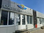 Shev (Buyanova Street, 135Б), charity fund
