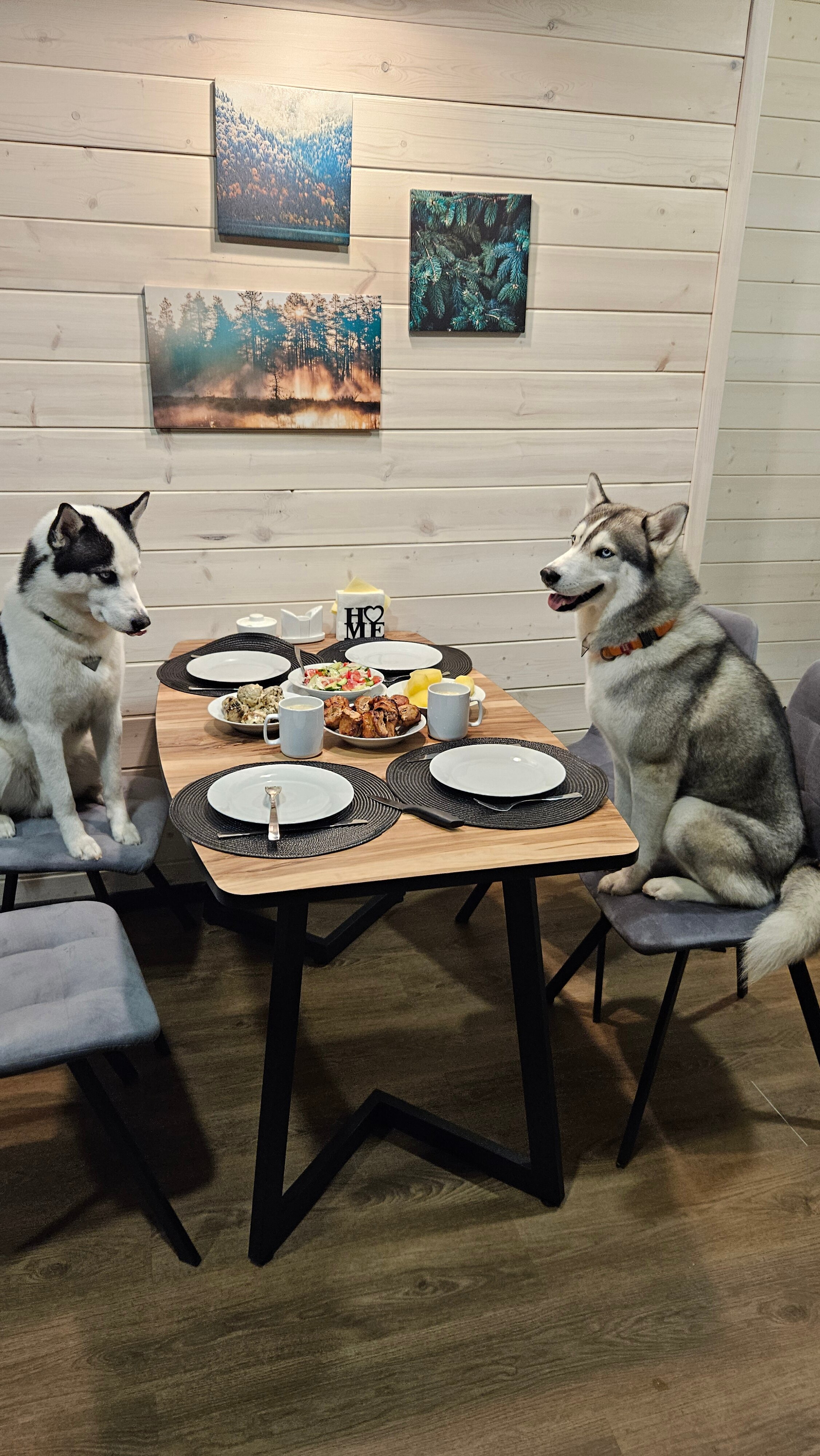 Фото Мы Дома- Зеркальный лес