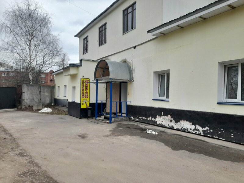 Ленивый жираф — фото 25