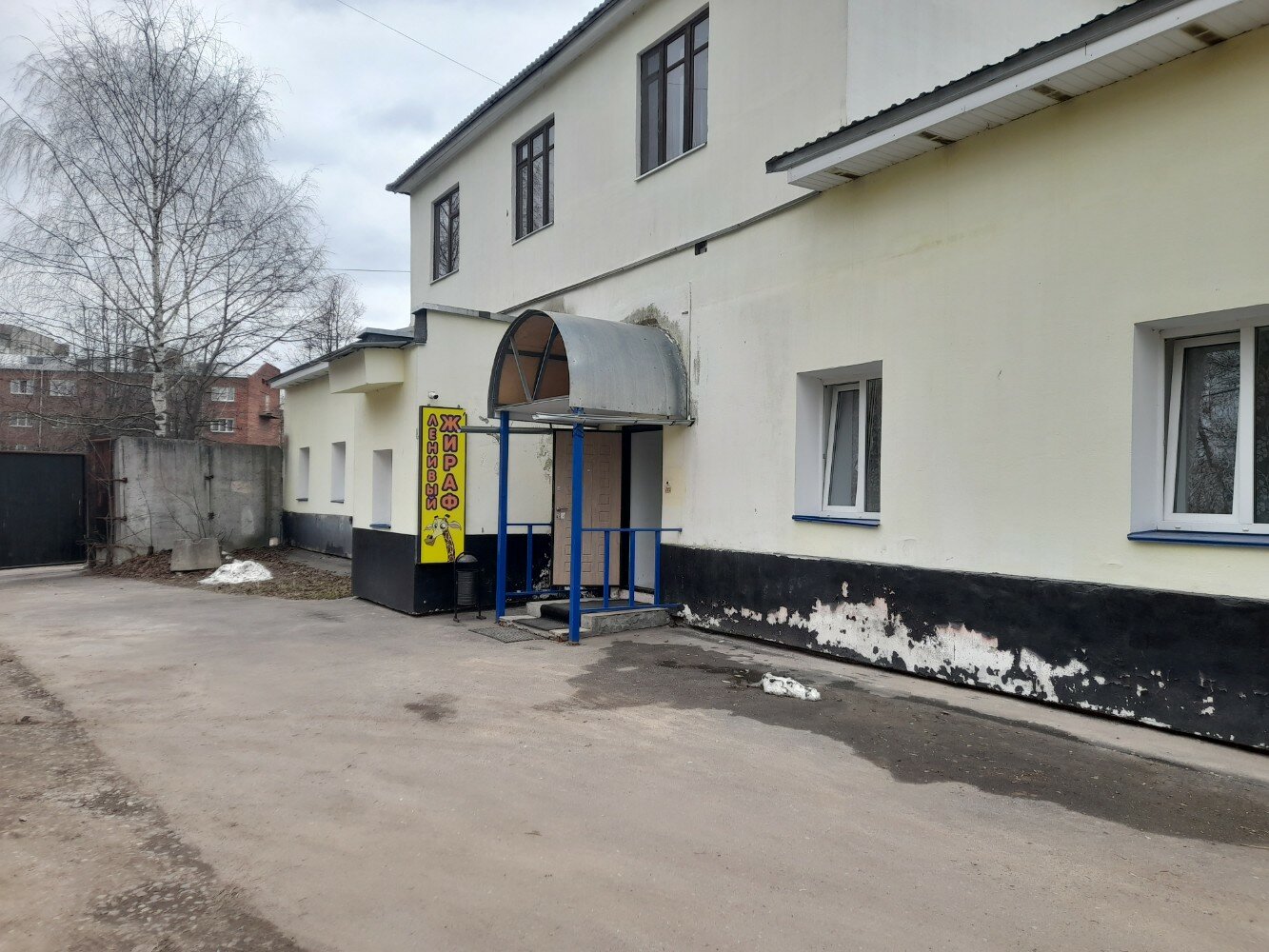 Фото Ленивый жираф