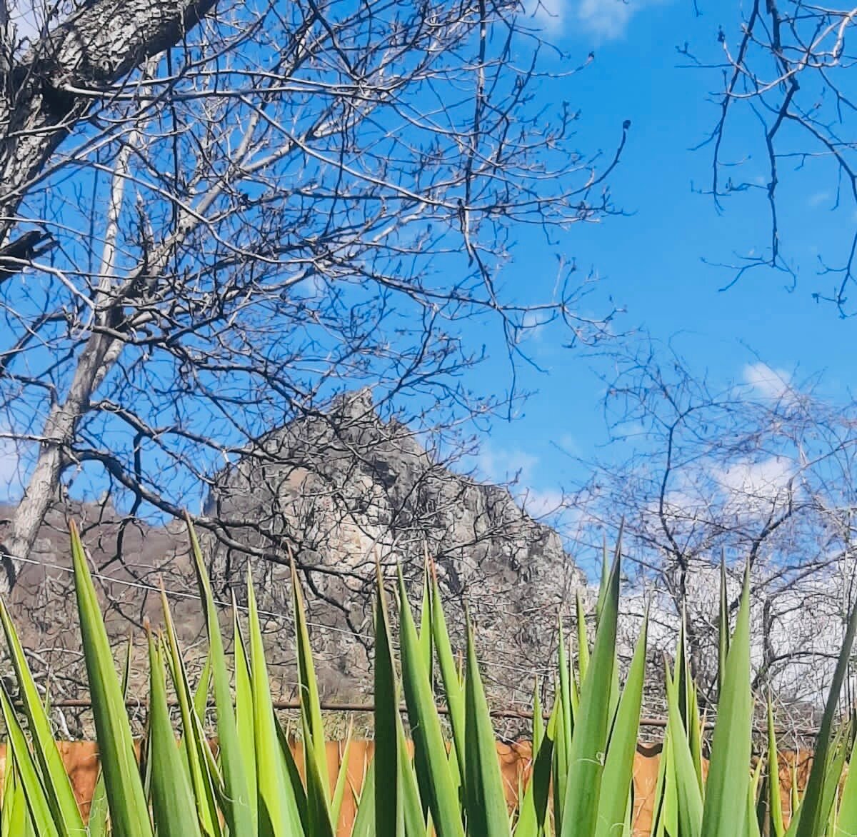 Фото Дом у реки