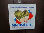 Калининград, мы вместе (ulitsa Professora Sevastyanova, 5), community organization
