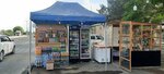 Groceries (Syrdarya), tienda de productos