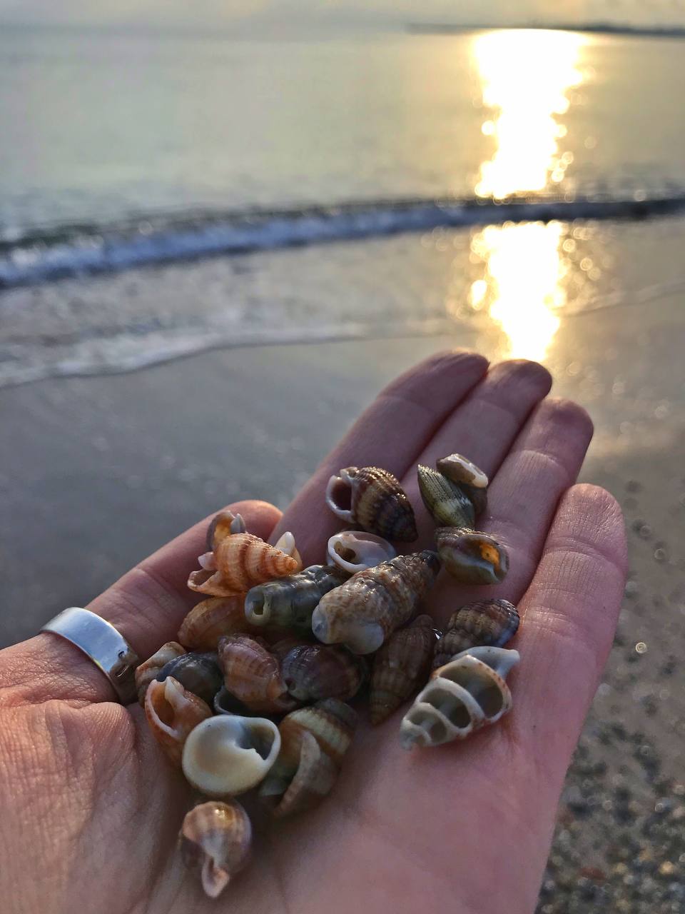 Фото Улыбка