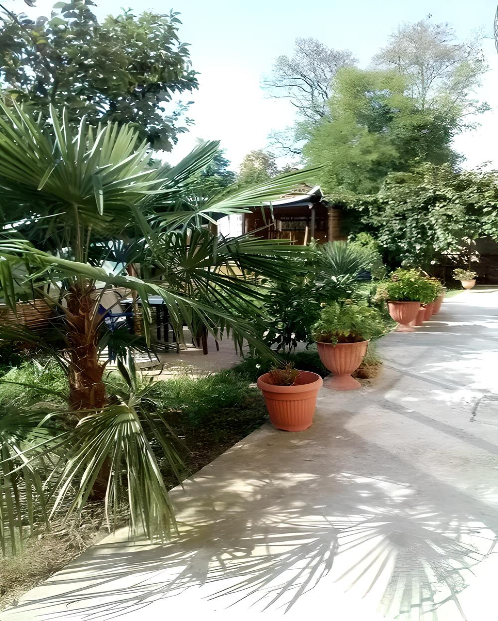 Фото Оазис на Молодежной