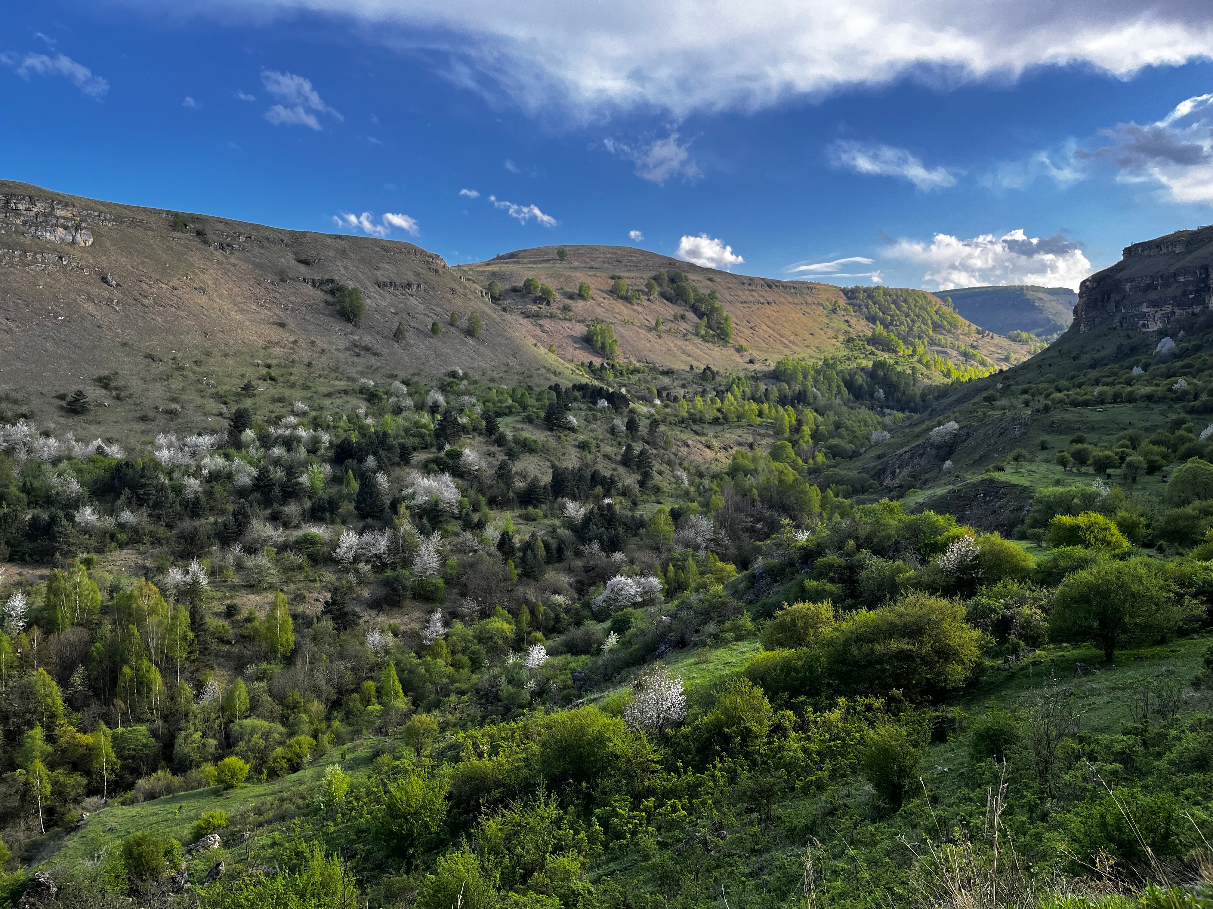 Фото Grand Kan'on