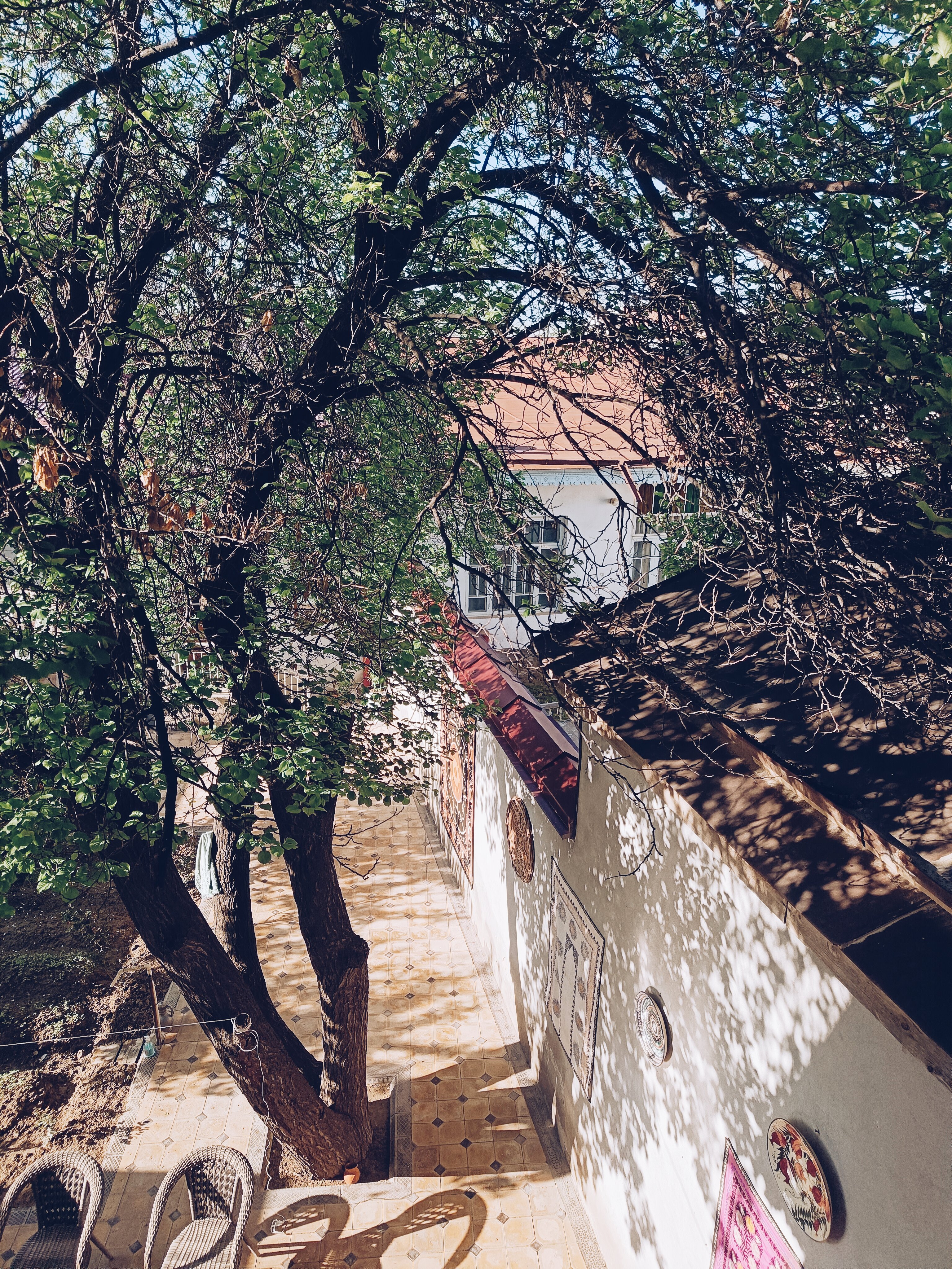 Фото Darvozai Samarkand